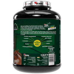 Lean Core Mass