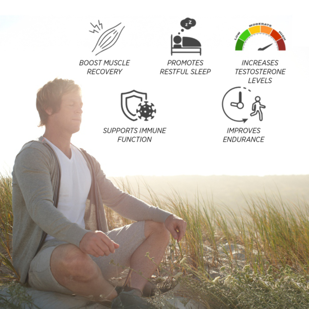 ESN Daily Evossentials ZMA – 60 Vegetarian Capsules